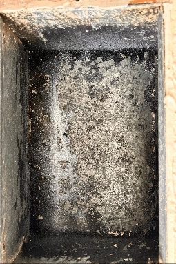 Roy's Vent Cleaning Services Air Duct Mold Removal