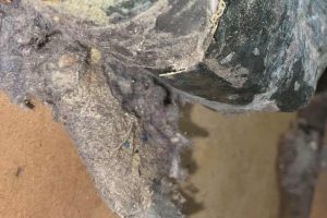 Dryer Vent Cleaning Service in Middlesex, NJ contact
