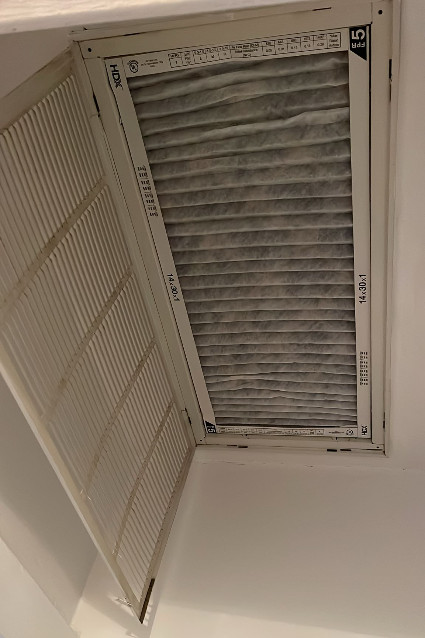 Roy's Vent Cleaning Services Eco-friendly Cleaning